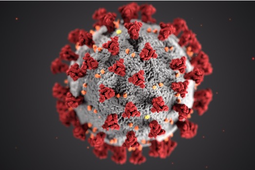 Modèle 3D coronavirus